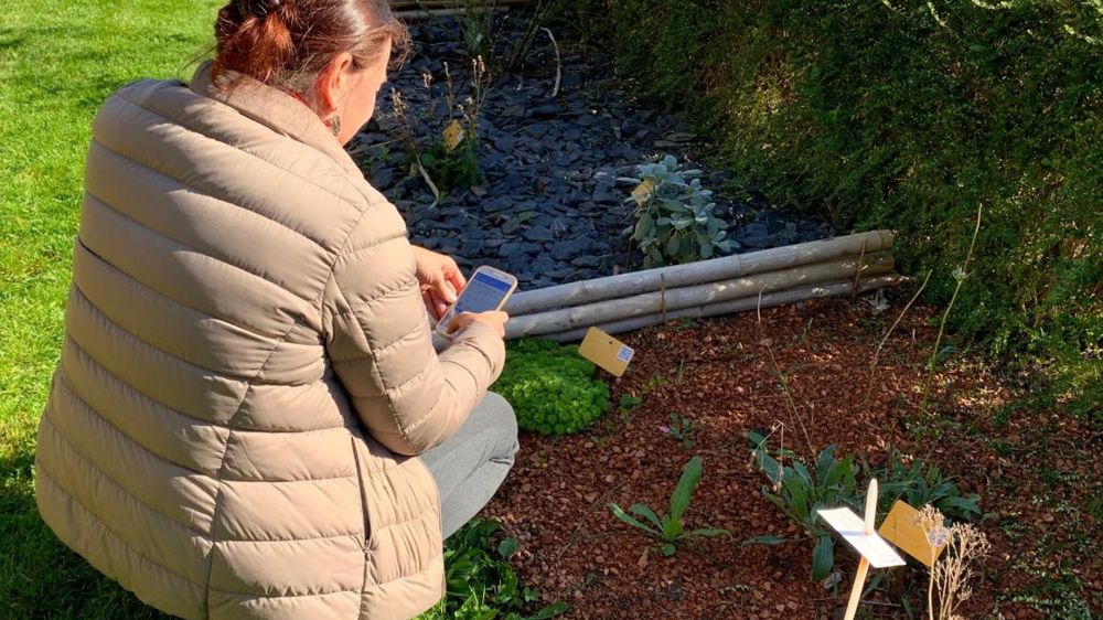 À l’école du Breuil, un système de QR code à flasher, lié à une base de données, permet de retrouver les plantes sur place (plantes géolocalisées) et d’accéder à des fiches renseignées. ©O .Maillard À l’école du Breuil, un système de QR code à flasher, lié à une base de données, permet de retrouver les plantes sur place (plantes géolocalisées) et d’accéder à des fiches renseignées. ©O .Maillard